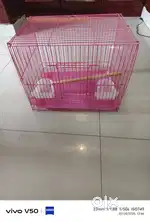 Beautifully designed bird cage