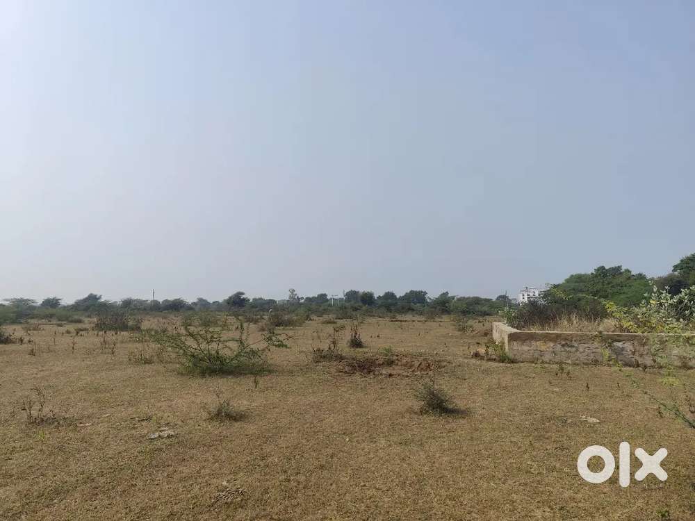 वाटेरा रोड रेल्वे ब्रिज के पास में प्लोट मात्र 2,50,000 रुपए