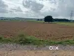 Barsana dham Peaceful environment and good place bulid farmhouse