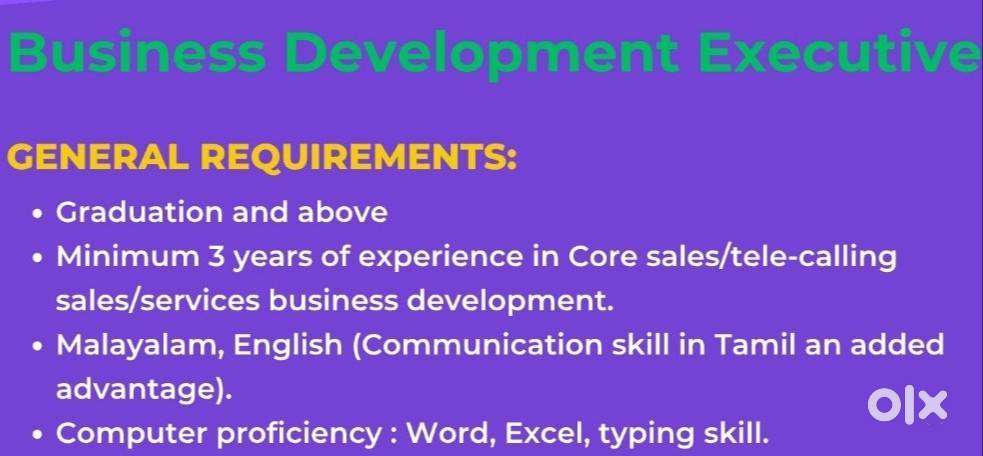 Business Development Executive