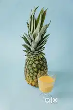 Juice maker