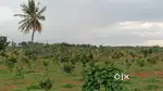 GATED COMMUNITY MANAGED FARM LAND WITH WEEKEND HOME 6534sqft