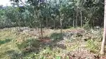 3.15acre land for sale Kootrapally nearby Karukachal