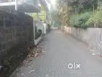 4.50 cent residential plot for sale karayogam road error Tripunithura