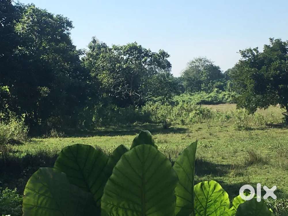 Residential Land for Sale in Sualkuchi  Near all facilities available