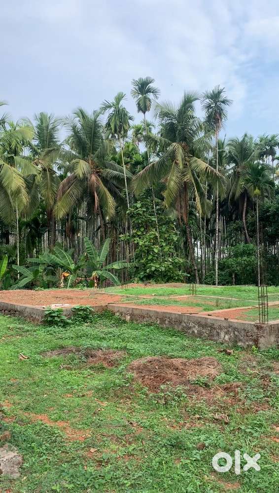 52Cent plot Manjeri ,Koomamkulam