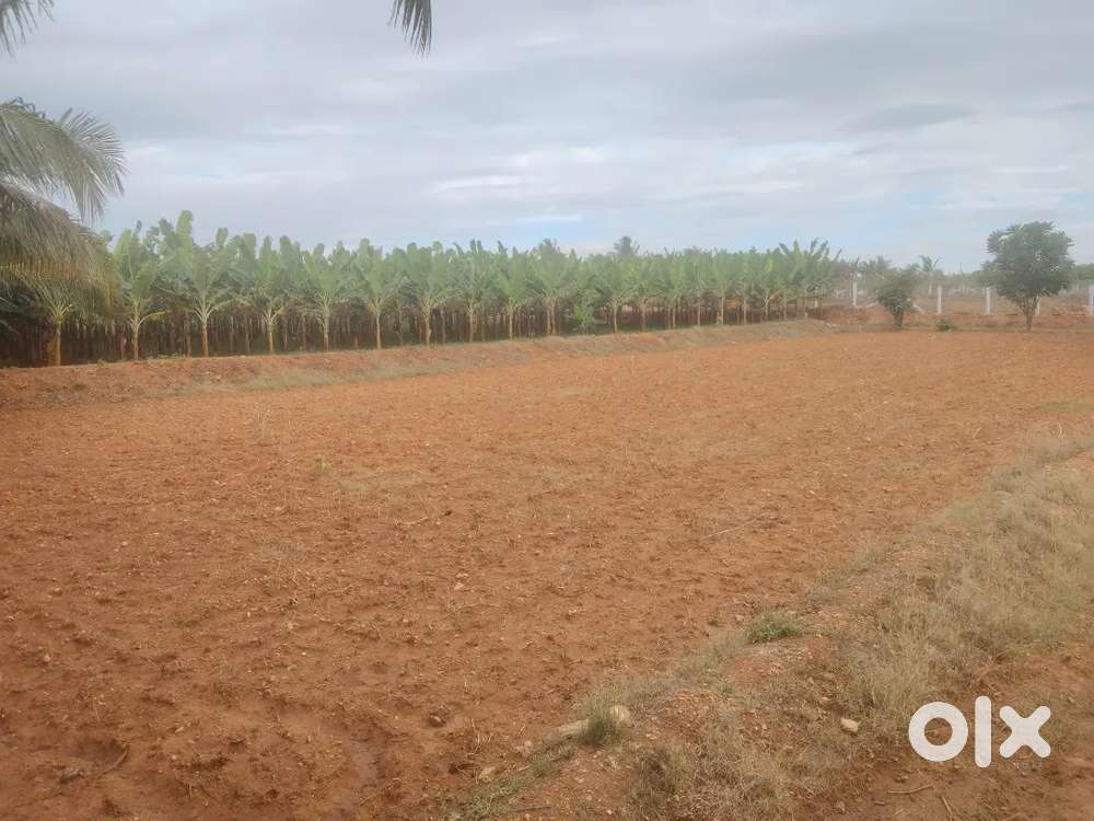 SUPER SAIL AGRI LAND FOR SALE IN ANNUR