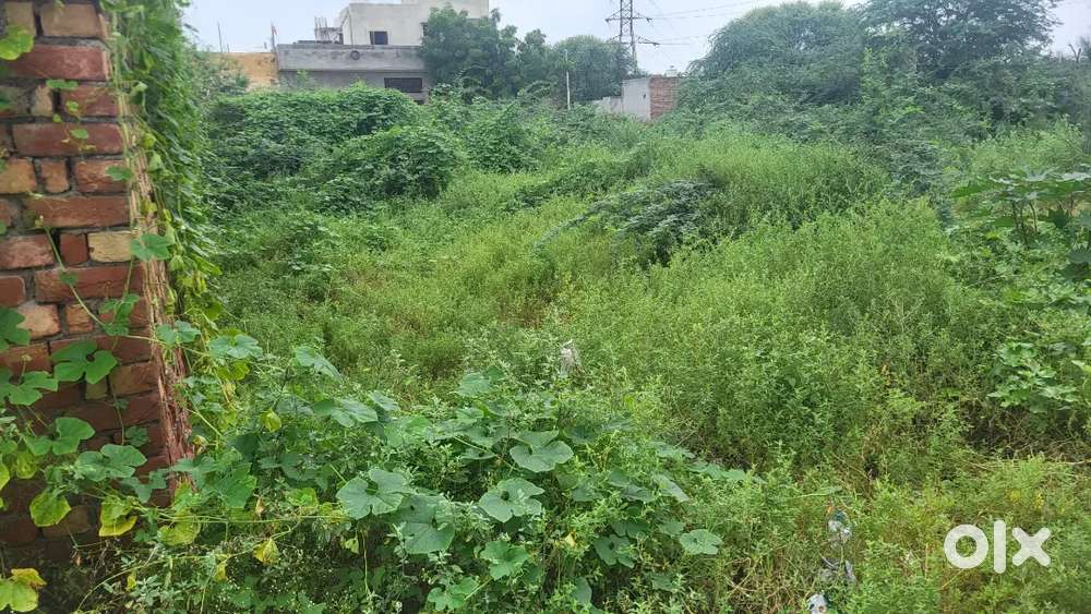 Plot for sale fully approved