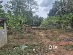 Residencial Land 5 cent Peramangalam Thrissur