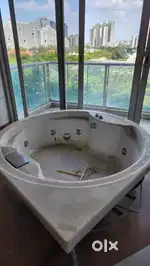Want to sell Bathroom Jacuzzi.