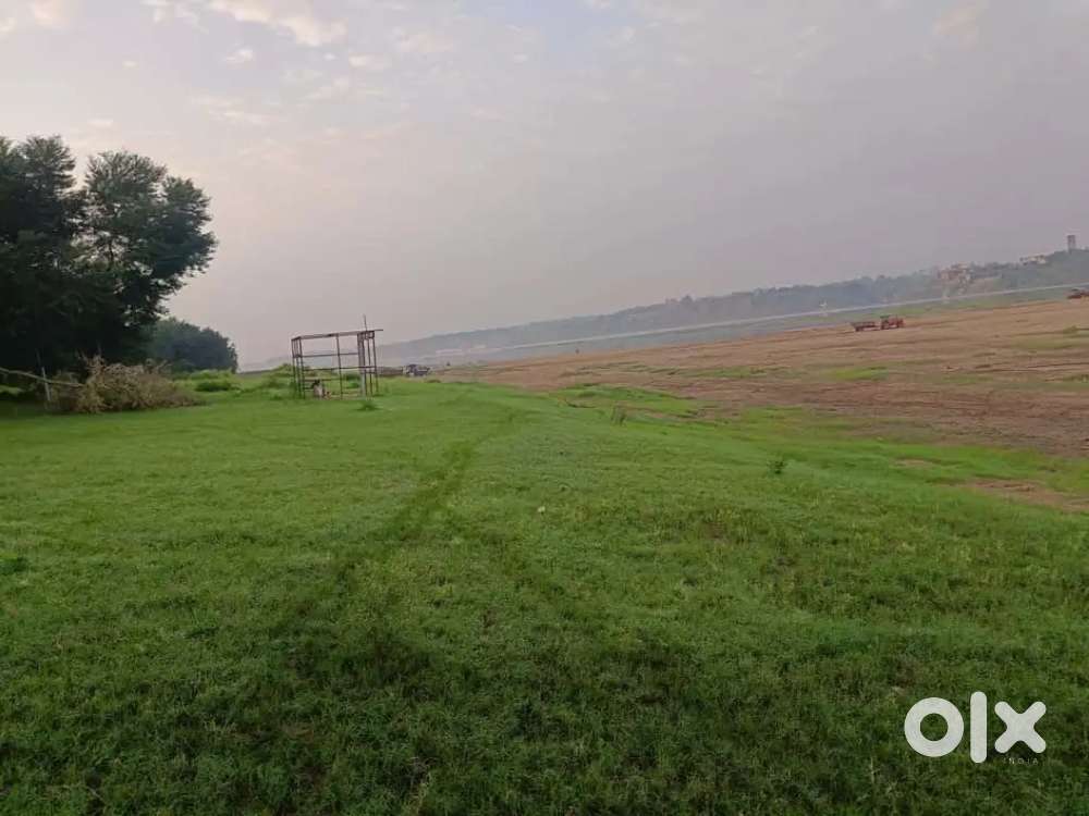 Agriculture land at kotna beach