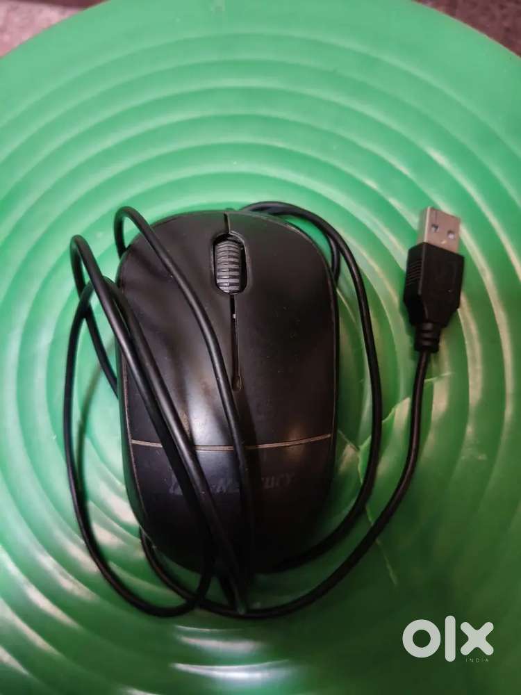 Mercury mouse (computer accessories)