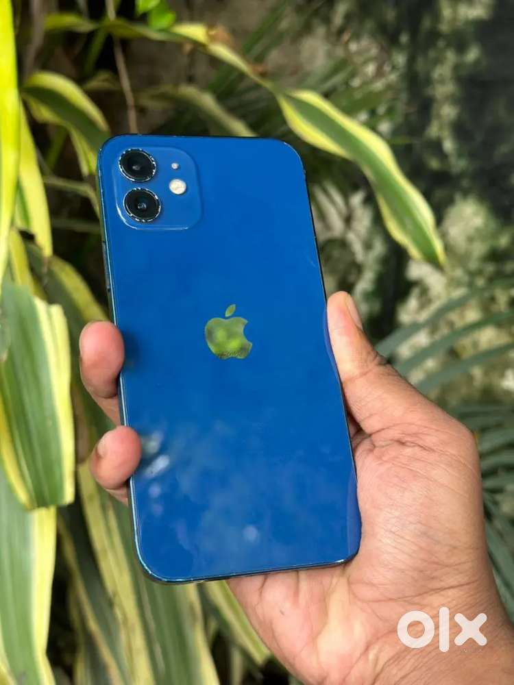 iPhone 12 (128gb)