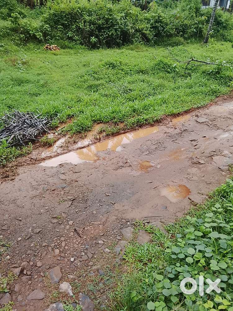 7 CENT LAND FOR SALE THIRUVANNUR CALICUT