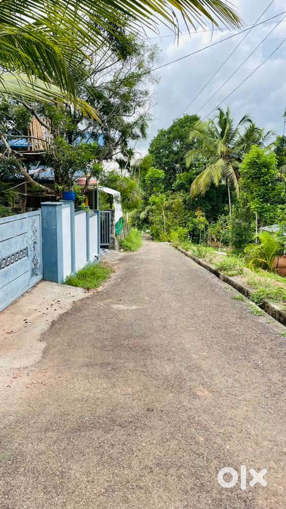 160 Cent Original Land for Sale at near Puthenvelikara (1 Lakh/cent)