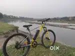 Emotorad X1 Electric