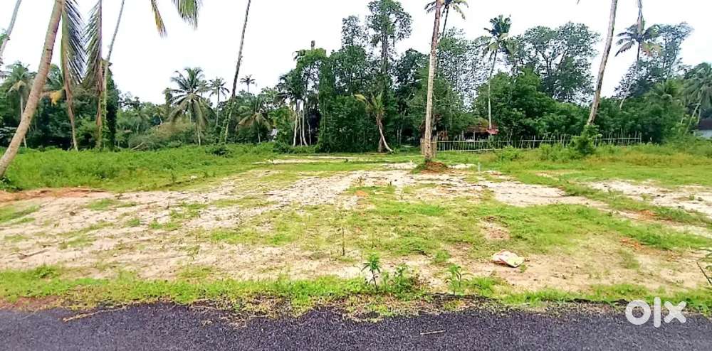 6 cent plot Cherthala NSS college സമീപം