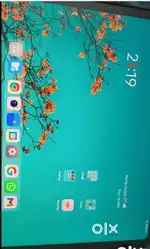 Oneplus Go Pad save money