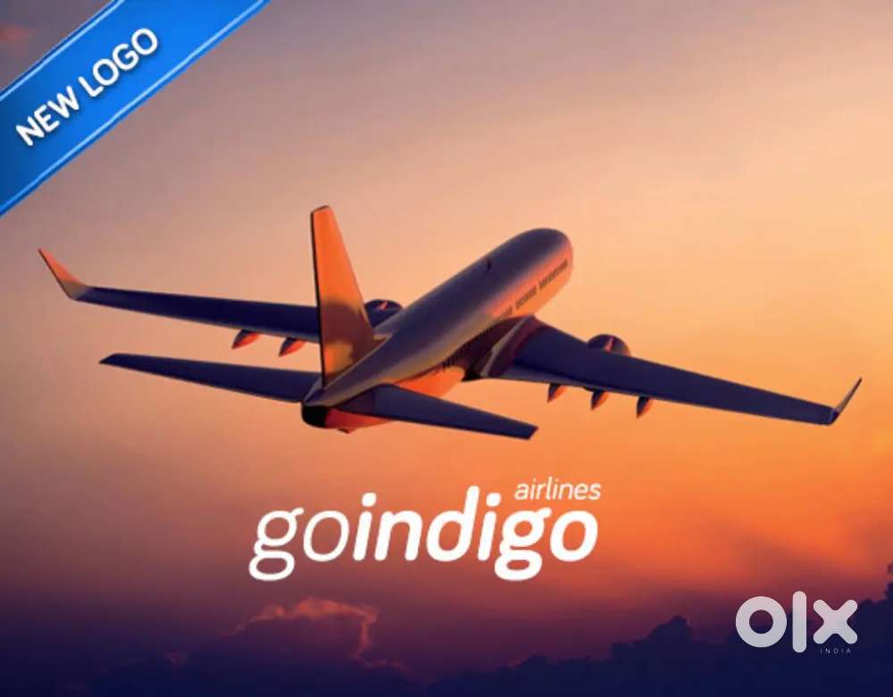 Indigo Airlines urgent hiring for ground staff jobs vacancy Available