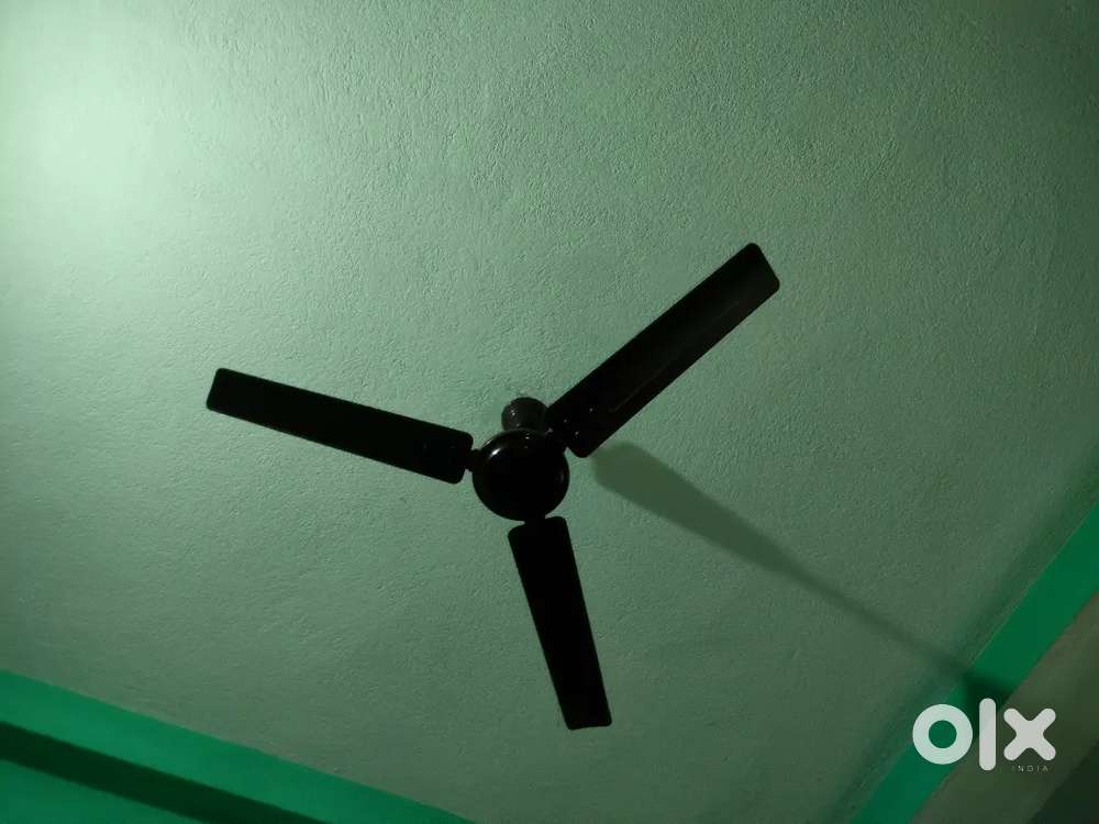 Ceiling fan