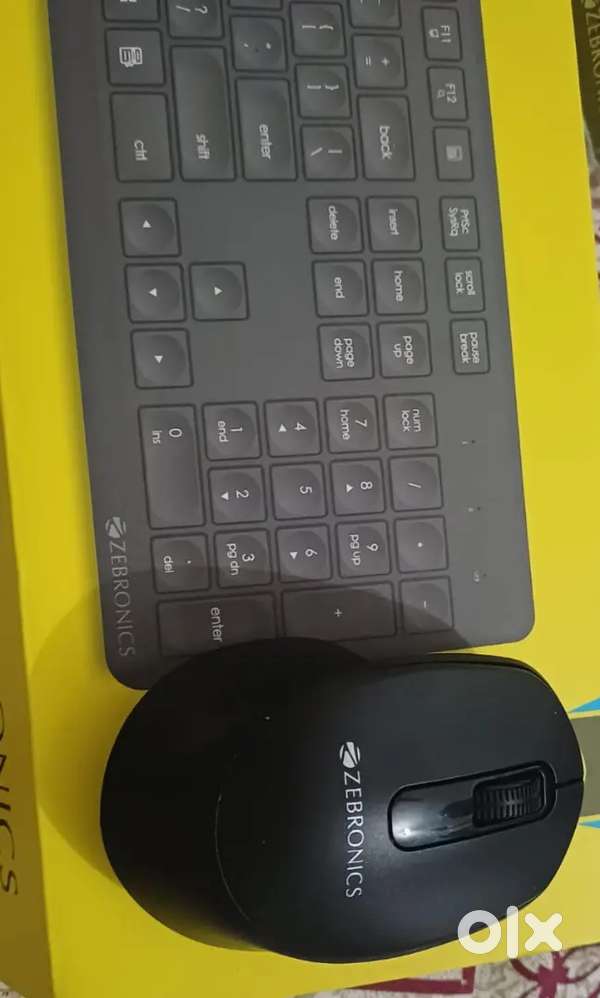 Zebronics keyboard and mouse