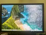 Dell Monitor 24 inch
