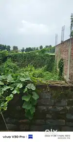 Azamgarh hafizpur petrol pump ke piche