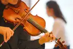 Violin Mandolin Guitar Tutor