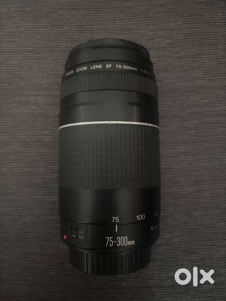 Canon ef 75-300mm telephoto lens