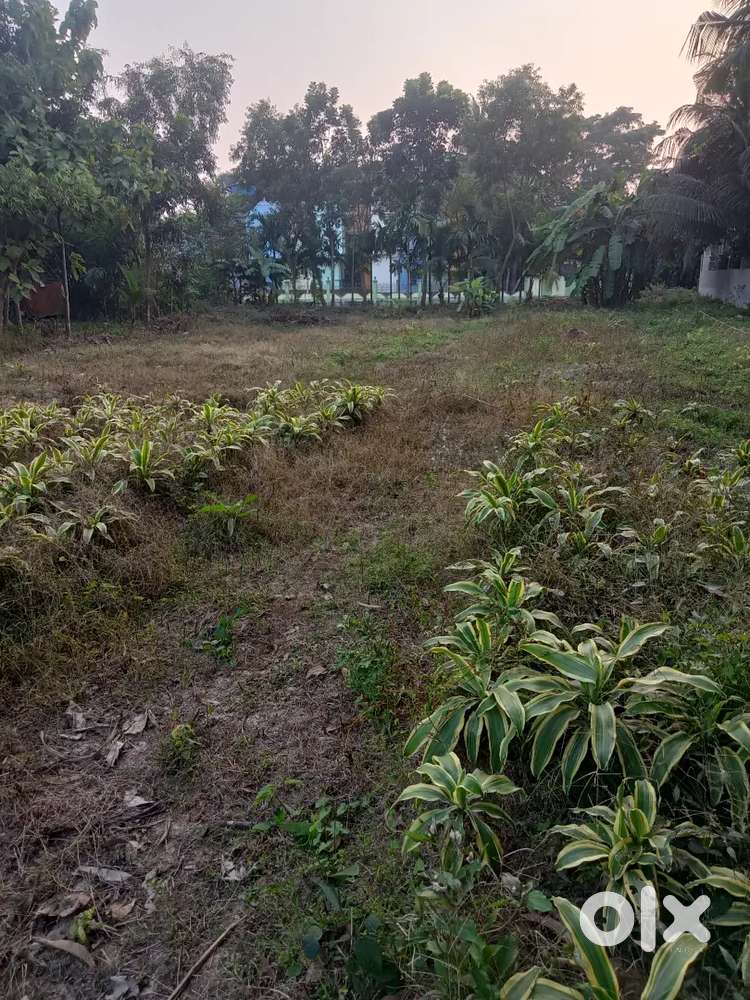 Plot for sale