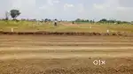 Farm plots are available for sale @ Kodangal.