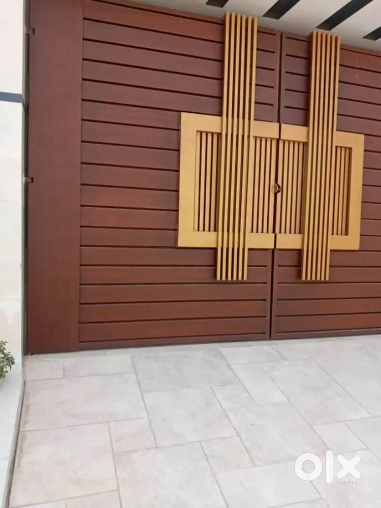 Modern iron door