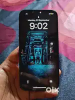 Iphone 13 256gb