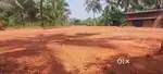 10 cent Housing plot @ manjeri