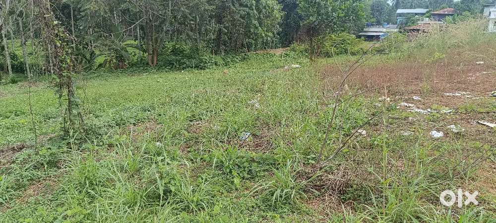 Only One kilometre to pookkotumpadam town and 200 meter to Highway