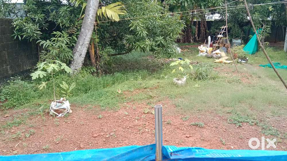 4 cent House plot @ Madavana 1 km