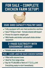 Chicken poultry Farm for Sale - Great Opportunity!
