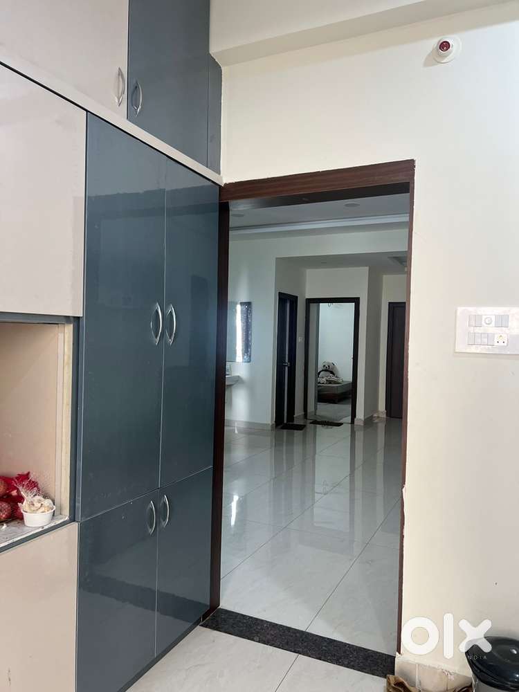 Female flatmat needed