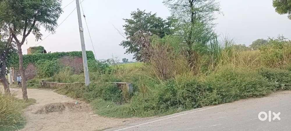 Plot in Asan Chauraha, Firozabad