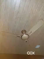 Ceiling fan