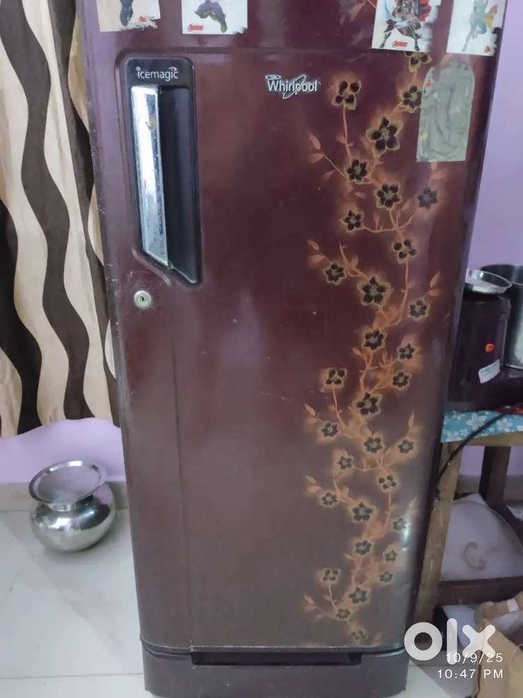 Sale frez urgent cash