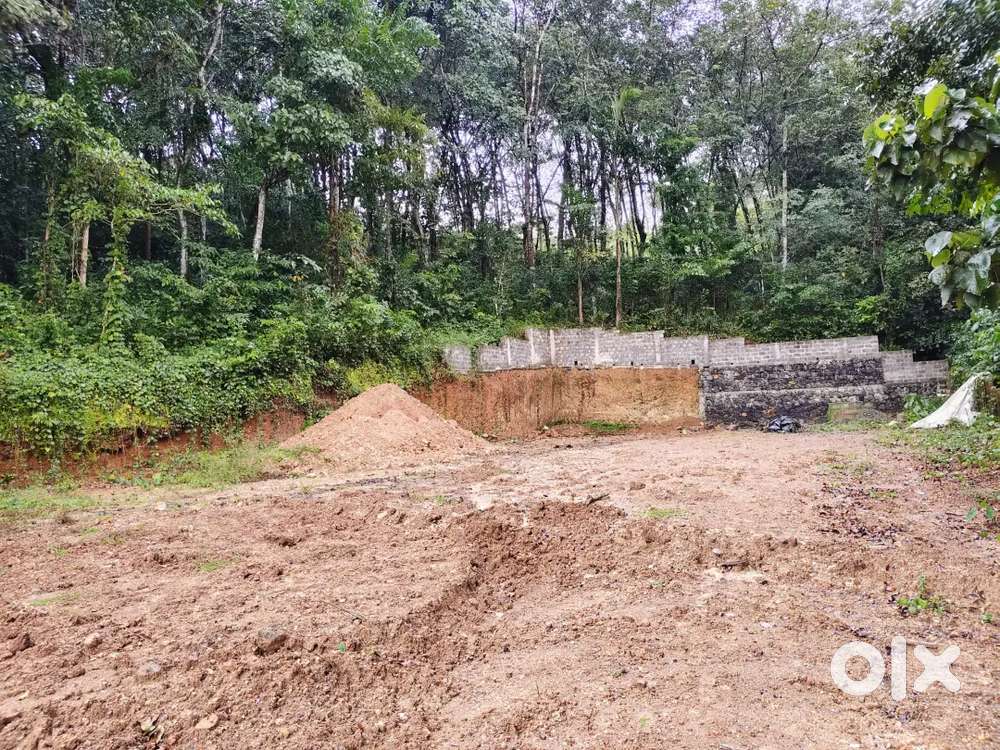 PLOT/LAND 16CENT, SUITABLE FOR HOUSE/COMMERCIAL PURPOSE