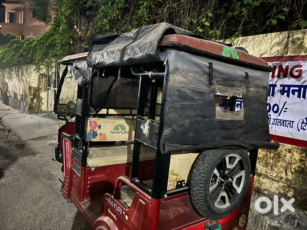 Well maintend e riksha