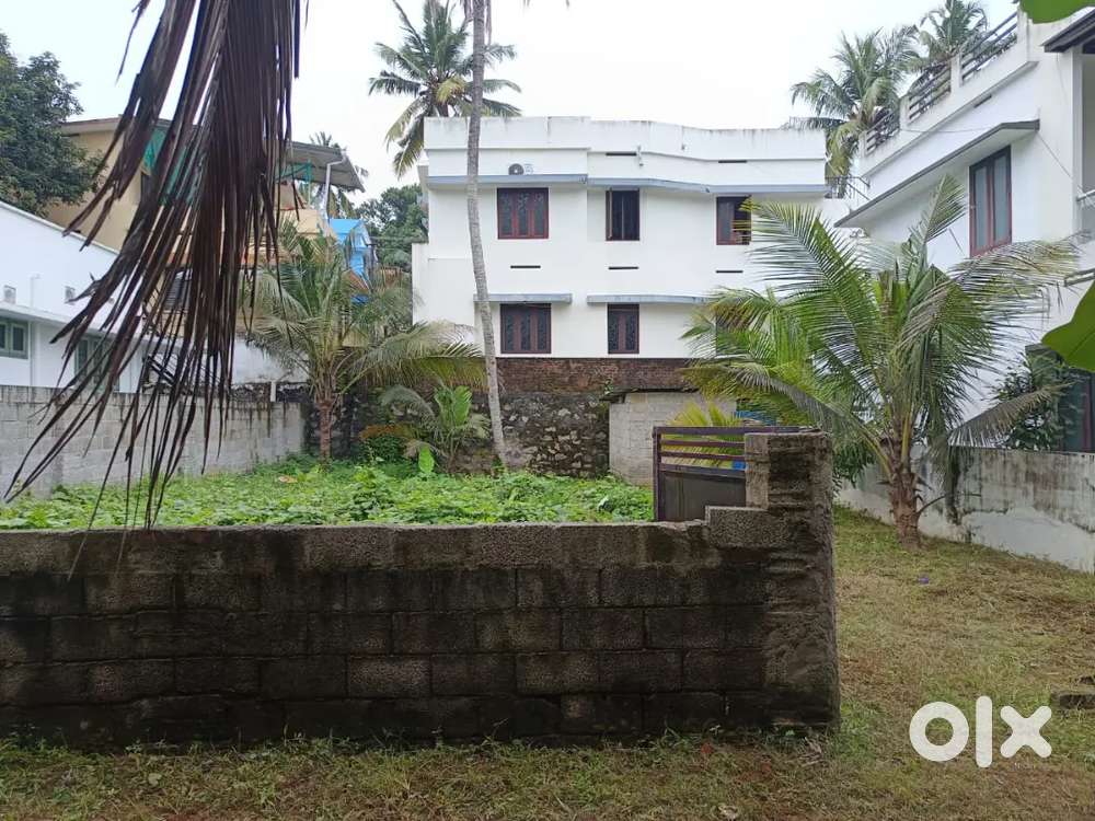 5cent plot for sale near csi church mangatkadav