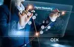 We require a Digital .marketing Expert for our company