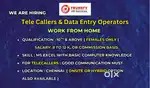 Telecaller & Data Entry (Work from Home)