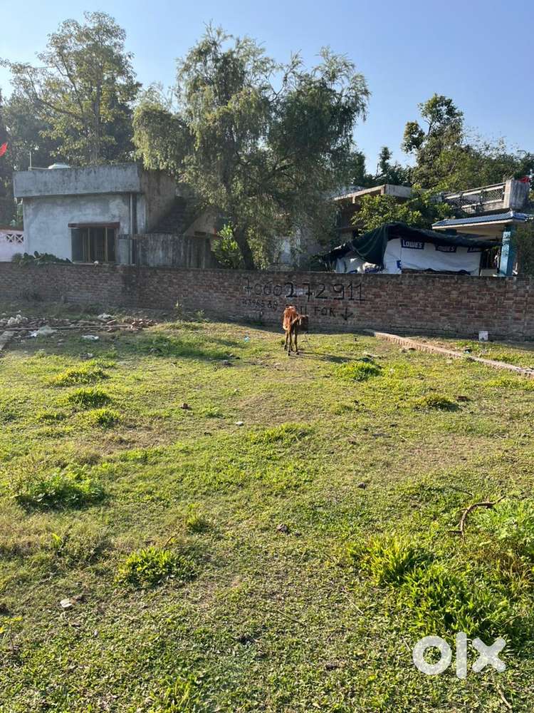 Plot for sale kuanwala  near jio petrol pump