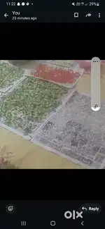 Vegetable cutting. Helper .girls. boy
