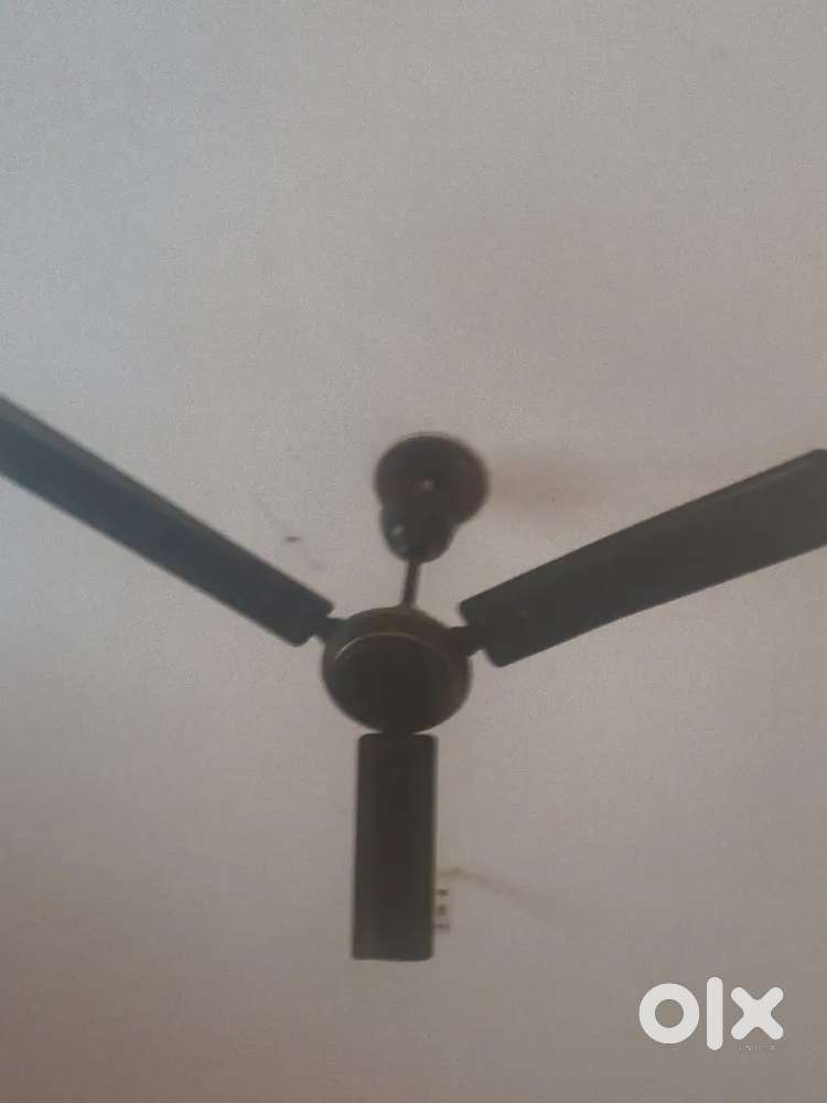 Ac fan ccolldd