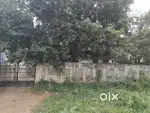 Godown/Shed for rent